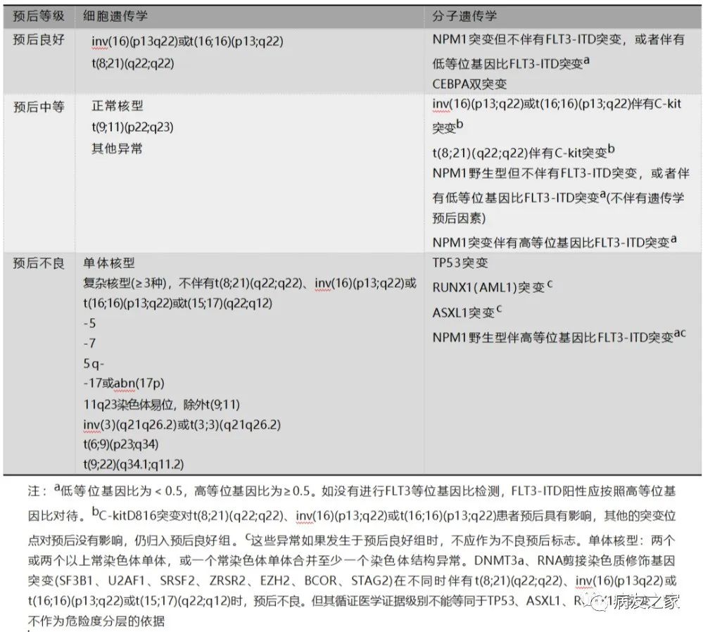 疾病指南 | 中国成人急性髓系白血病(非急性早幼粒细胞白血病)诊疗指南(2021年版)