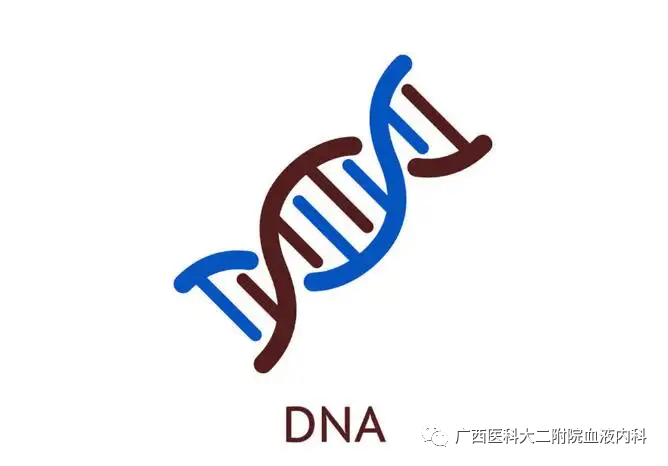 可怕源于未知——让我们一起来了解慢性髓系白血病吧! 可怕源于未知——让我们一起来了解慢性髓系白血病吧!