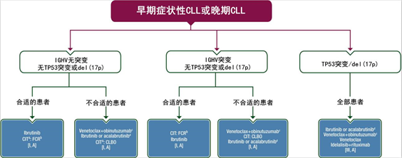 一文读懂最新慢性淋巴细胞白血病诊疗| 血液指南针 一文读懂最新慢性淋巴细胞白血病诊疗| 血液指南针