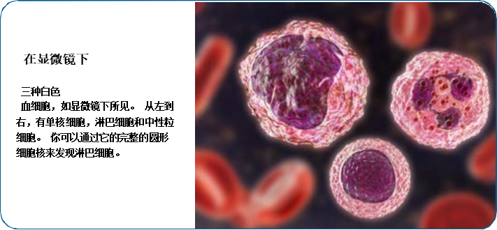 何为霍奇金淋巴瘤？究竟好不好治吗？