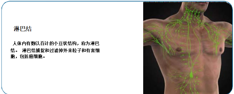 何为霍奇金淋巴瘤？究竟好不好治吗？