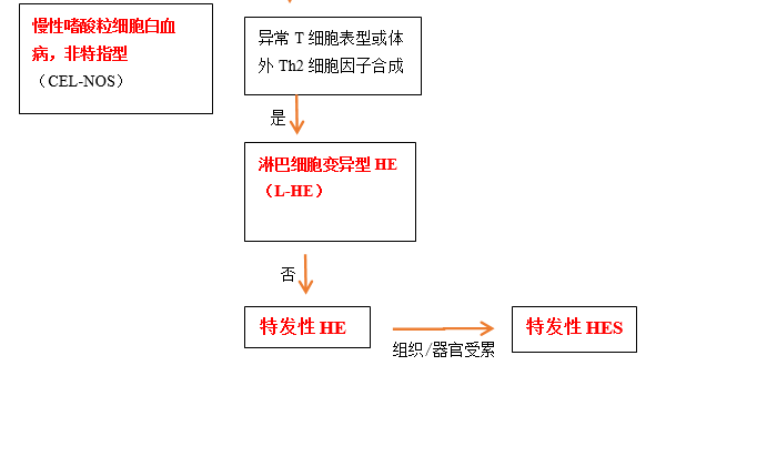 嗜酸粒细胞增多症的诊断与鉴别 嗜酸粒细胞增多症的诊断与鉴别