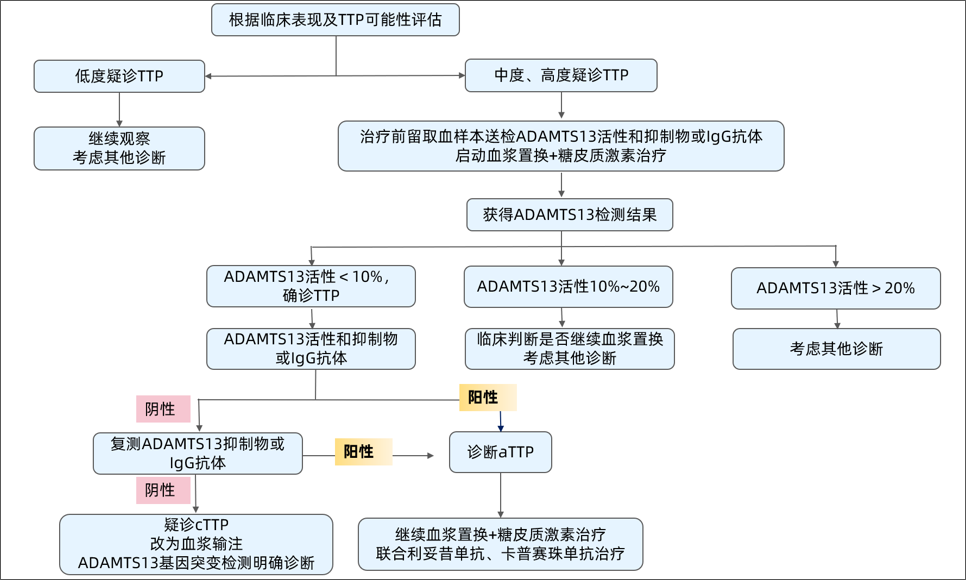 一文读懂:血栓性血小板减少性紫癜的发病机制及诊断流程 一文读懂:血栓性血小板减少性紫癜的发病机制及诊断流程