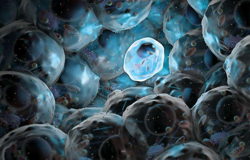 一文了解什么是CART疗法 一文了解什么是CART疗法