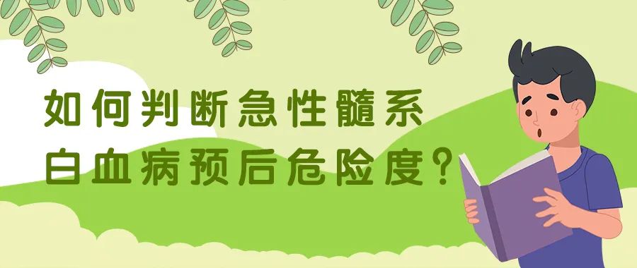 科普时间 | 如何判断急性髓系白血病预后危险度? 科普时间 | 如何判断急性髓系白血病预后危险度?
