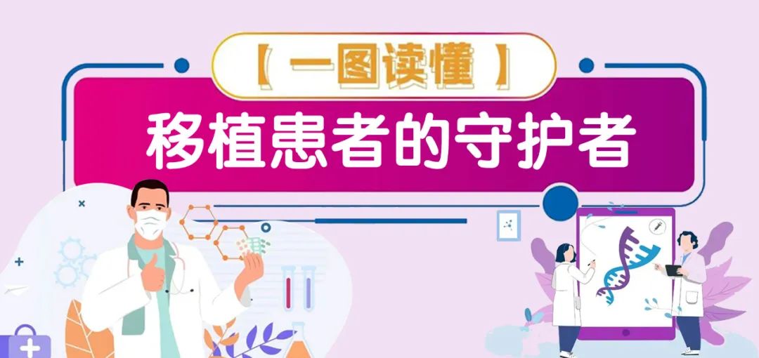 一图读懂丨移植患者的守护者