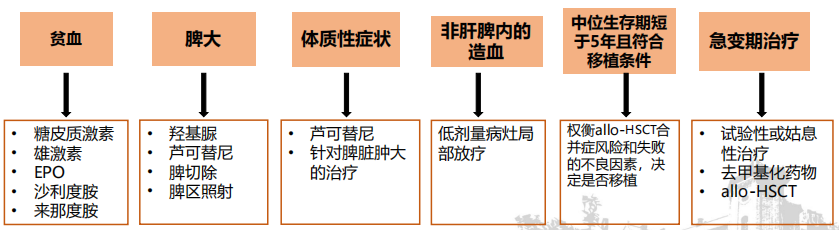 专家讲座丨陈春燕教授:骨髓纤维化(MF)的诊断和治疗 专家讲座丨陈春燕教授:骨髓纤维化(MF)的诊断和治疗