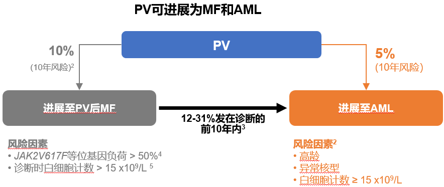 专家讲座 | 黄健教授：真性红细胞增多症诊治进展