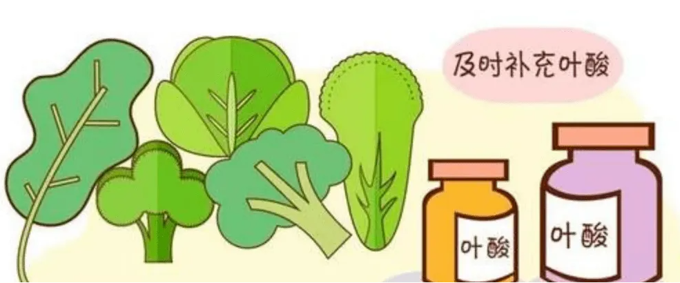 带你了解巨幼细胞性贫血 带你了解巨幼细胞性贫血