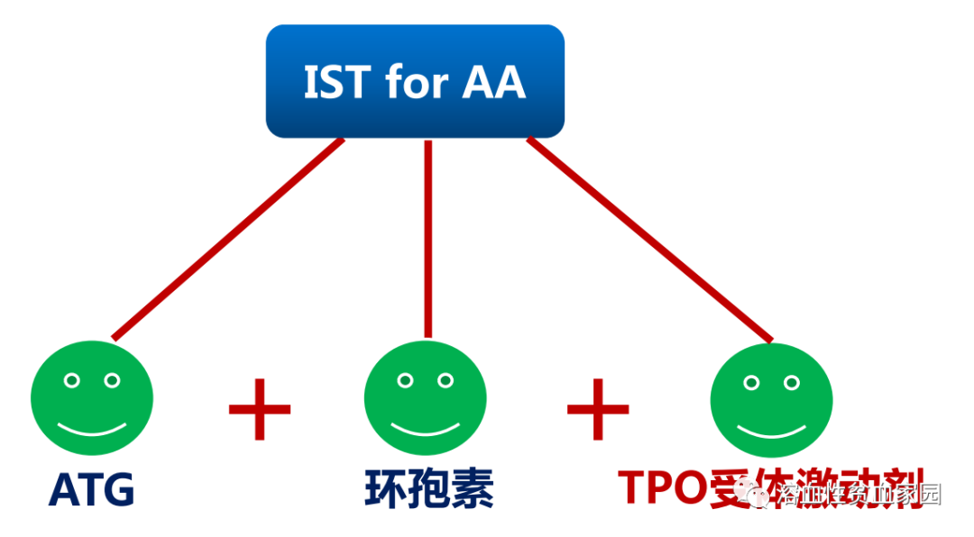 专家讲座 | 施均教授分享再生障碍性贫血(AA)诊治临床实践 专家讲座 | 施均教授分享再生障碍性贫血(AA)诊治临床实践