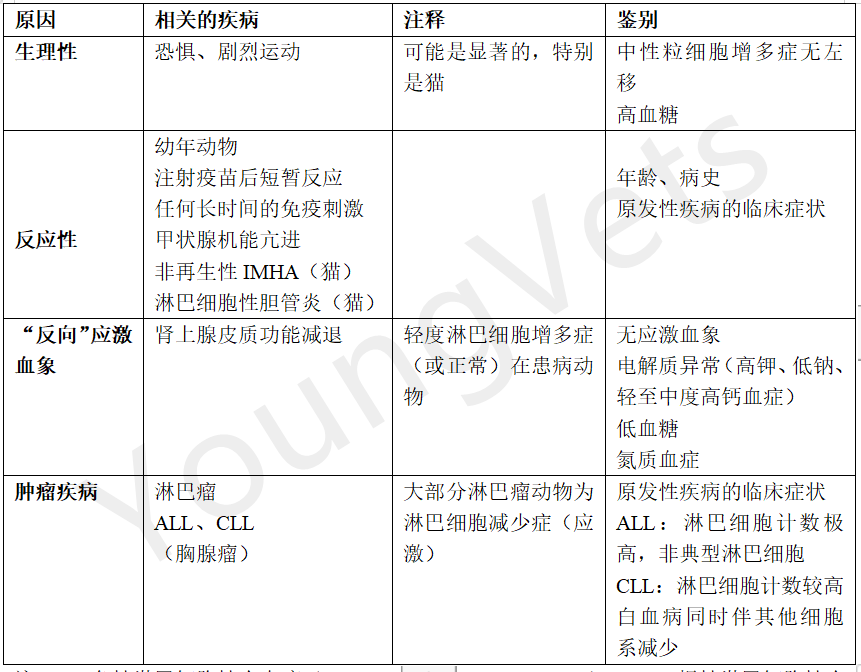 【临床病理学】——白细胞之淋巴细胞 【临床病理学】——白细胞之淋巴细胞