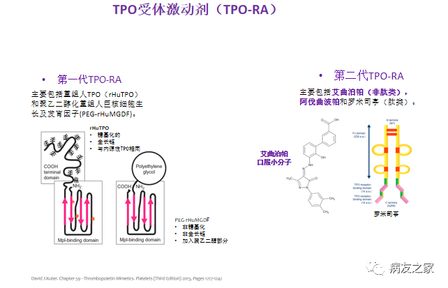 专家讲座 | 刘红教授:骨髓增生异常综合征(MDS)贫血的机制和治疗 专家讲座 | 刘红教授:骨髓增生异常综合征(MDS)贫血的机制和治疗