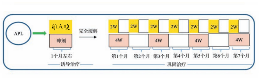 认识急性早幼粒细胞白血病 认识急性早幼粒细胞白血病