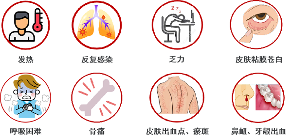 急性淋巴细胞白血病化疗需要多久?预后如何? 急性淋巴细胞白血病化疗需要多久?预后如何?