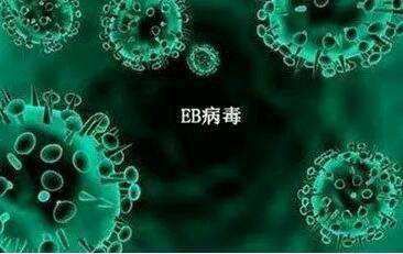 科普宣教 | 什么是急性淋巴细胞白血病? 科普宣教 | 什么是急性淋巴细胞白血病?