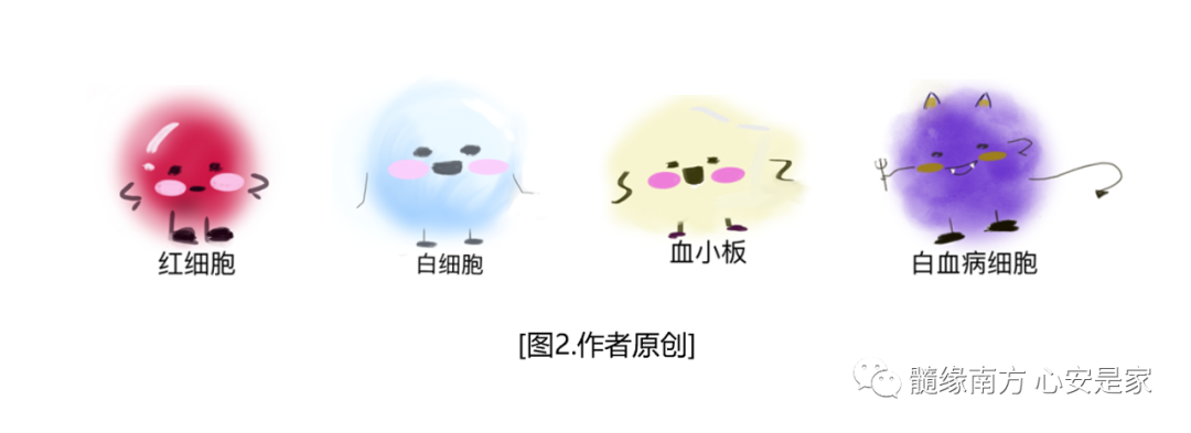 CML科普知识|什么是慢性髓系白血病？