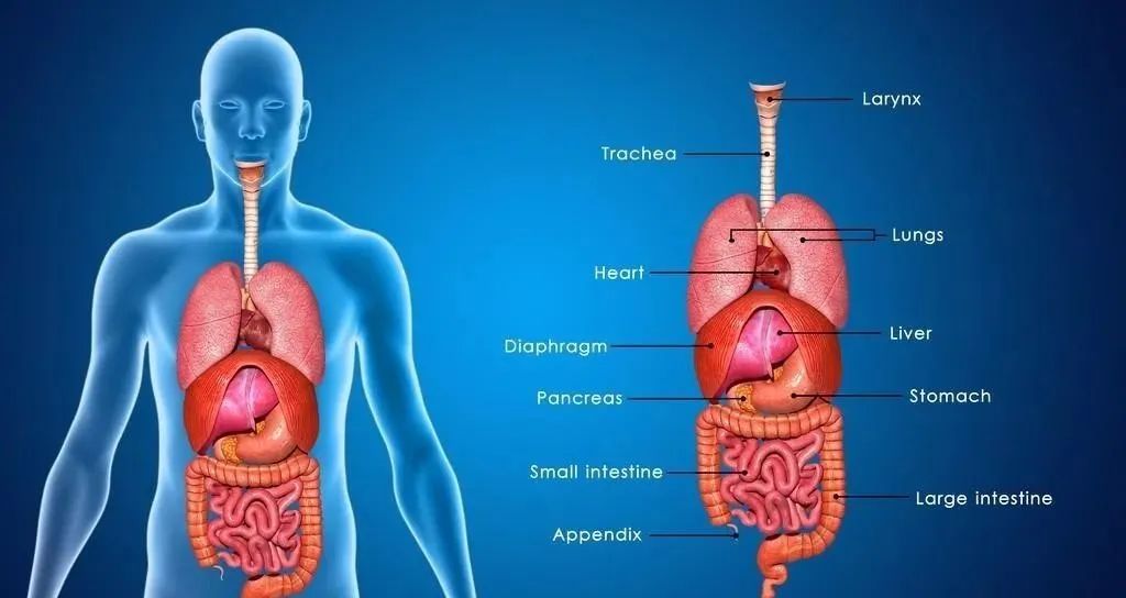一文了解多发性骨髓瘤 一文了解多发性骨髓瘤