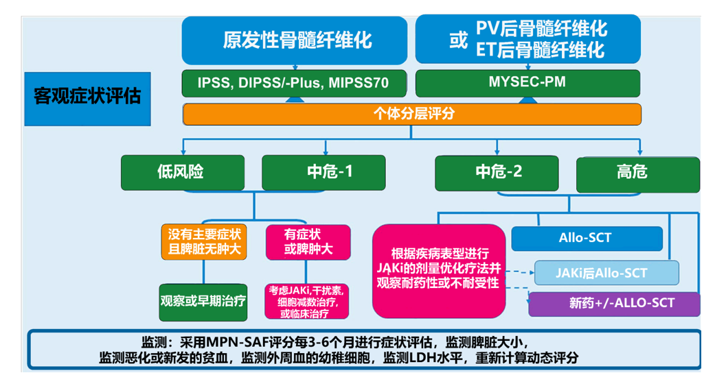 专家讲座 | 张磊教授带您了解原发性血小板增多症的诊断与治疗（下）