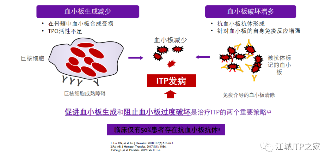专家讲座 | 梅恒教授：成人原发免疫性血小板减少症诊治进展