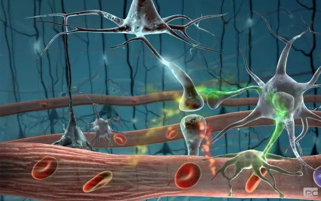 带你了解造血干细胞移植全过程 带你了解造血干细胞移植全过程