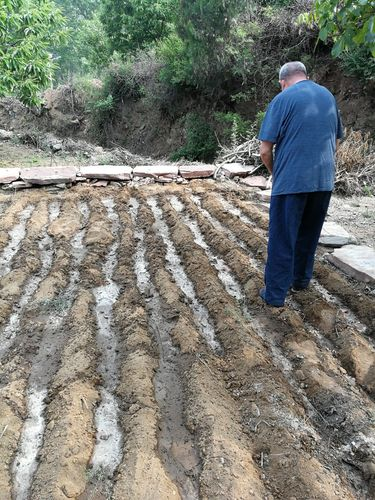 病友故事 | 人间有爱——记父亲初患骨髓纤维化的求医路 病友故事 | 人间有爱——记父亲初患骨髓纤维化的求医路