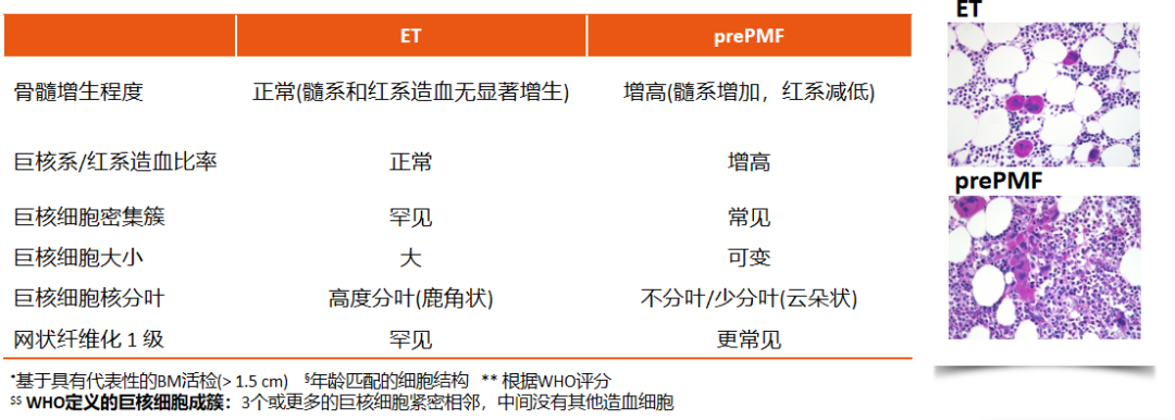 专家讲座 | 石红霞教授：骨髓增殖性肿瘤（MPN）的精准诊断