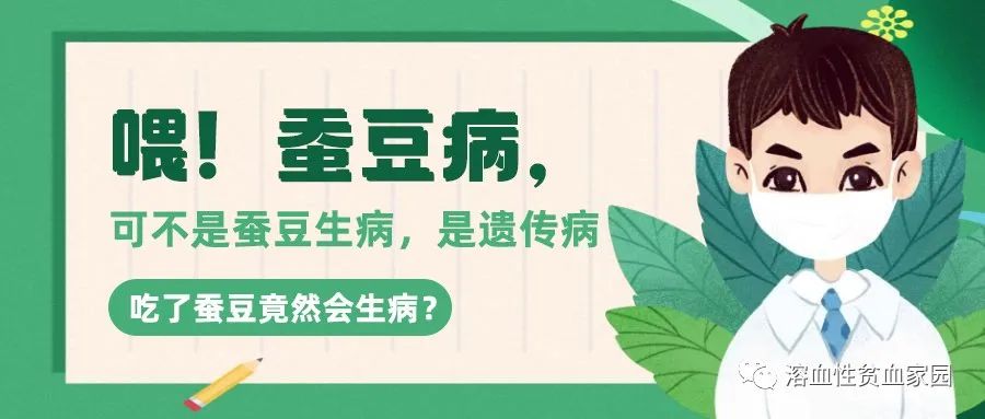 认识疾病 | 喂!蚕豆病,可不是蚕豆生病,是遗传病 认识疾病 | 喂!蚕豆病,可不是蚕豆生病,是遗传病