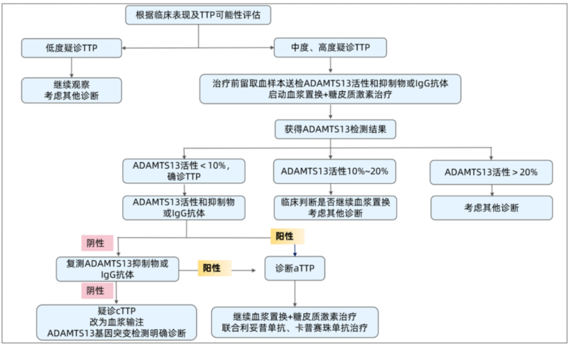 血栓性血小板减少性紫癜(TTP)最新指南(2022版),这些要点您不可不知! 血栓性血小板减少性紫癜(TTP)最新指南(2022版),这些要点您不可不知!