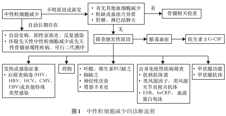 中性粒细胞减少症，诊断路径看这里！
