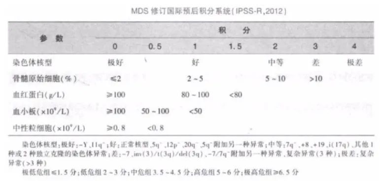 一文了解,什么是骨髓增生异常综合征(MDS) 一文了解,什么是骨髓增生异常综合征(MDS)