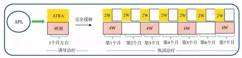 急性早幼粒细胞白血病可以用砒霜治愈,“以毒攻毒”!是真的吗? 急性早幼粒细胞白血病可以用砒霜治愈,“以毒攻毒”!是真的吗?