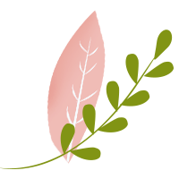 胚胎杀手——易栓症 胚胎杀手——易栓症