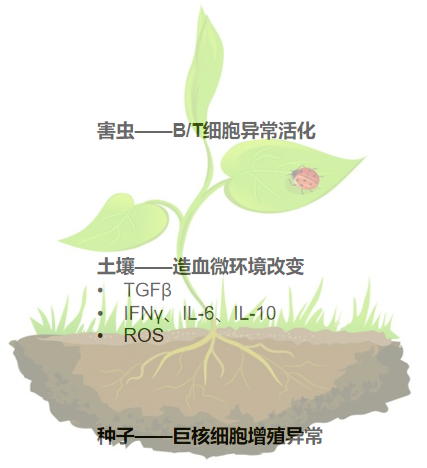 大咖零距离|梅恒教授解析ITP 3D治疗时代下的药物优化选择 大咖零距离|梅恒教授解析ITP 3D治疗时代下的药物优化选择