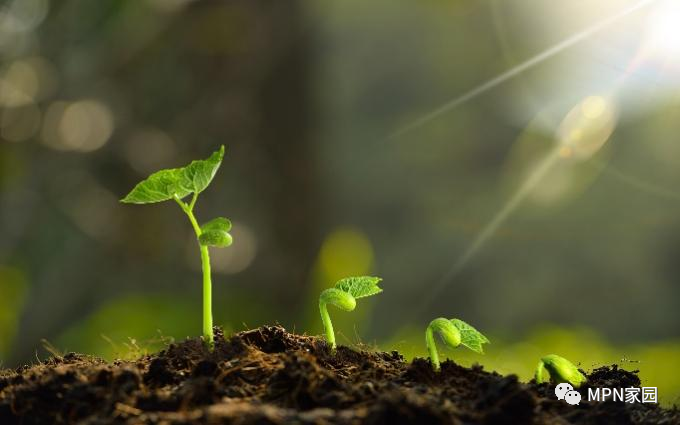 Q&amp;A | 日积跬步有所成，这些新进展能给MF患者带来新希望吗？