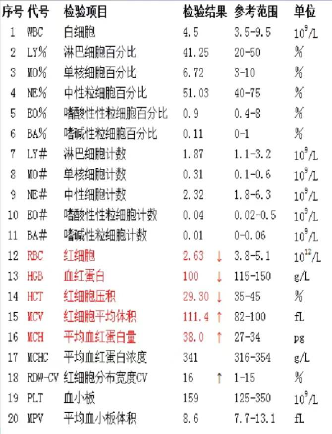 带你了解巨幼细胞性贫血 带你了解巨幼细胞性贫血