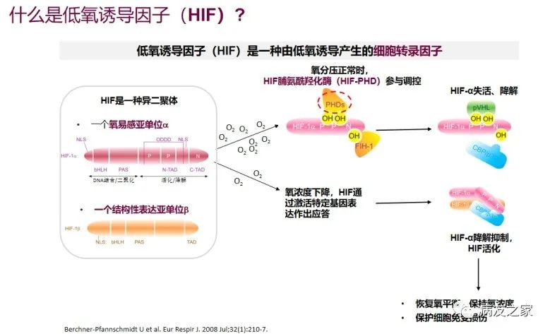 专家讲座 | 刘红教授:骨髓增生异常综合征(MDS)贫血的机制和治疗 专家讲座 | 刘红教授:骨髓增生异常综合征(MDS)贫血的机制和治疗