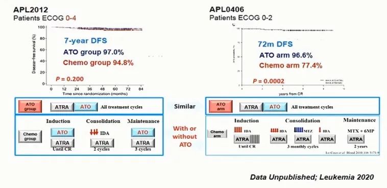 CSH 2020 | 陈竺院士：急性早幼粒细胞白血病发病原理、分型和治疗的最新认识