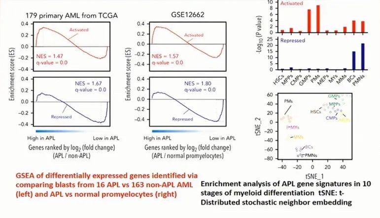 CSH 2020 | 陈竺院士：急性早幼粒细胞白血病发病原理、分型和治疗的最新认识