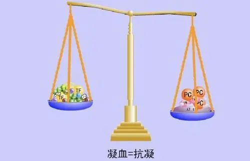 什么是易栓症? 什么是易栓症?