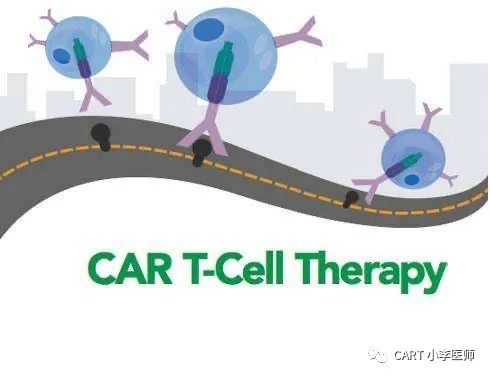 CART疗法是不是移植？