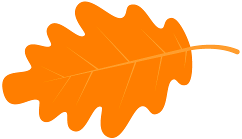 造血干细胞移植,你真的了解吗? 造血干细胞移植,你真的了解吗?