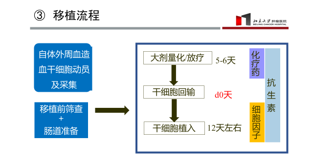 患者教育|自体造血干细胞移植的这些事儿,你知道吗? 患者教育|自体造血干细胞移植的这些事儿,你知道吗?