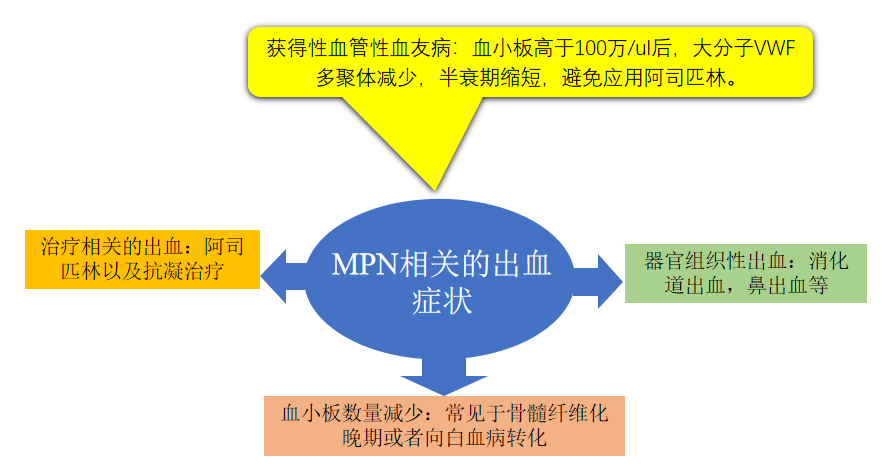 专家讲座 | 刘柳教授:原发性血小板增多症的治疗进展 专家讲座 | 刘柳教授:原发性血小板增多症的治疗进展