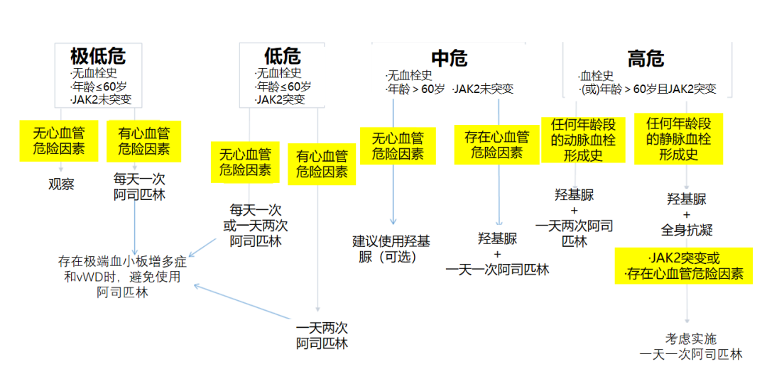 专家讲座 | 刘柳教授:原发性血小板增多症的治疗进展 专家讲座 | 刘柳教授:原发性血小板增多症的治疗进展