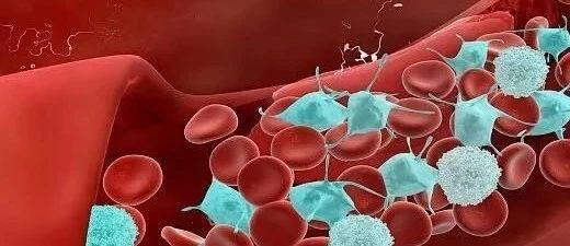 慢性病性贫血·知多少