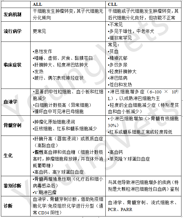 【临床病理学】——白细胞之淋巴细胞 【临床病理学】——白细胞之淋巴细胞