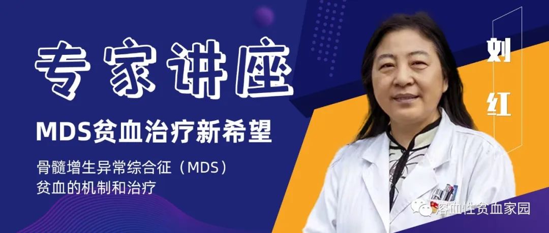 专家讲座 | 刘红教授:骨髓增生异常综合征(MDS)贫血的机制和治疗 专家讲座 | 刘红教授:骨髓增生异常综合征(MDS)贫血的机制和治疗