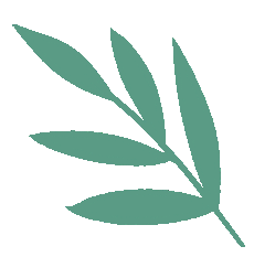 以“毒”为药?——关于急性早幼粒细胞白血病 以“毒”为药?——关于急性早幼粒细胞白血病