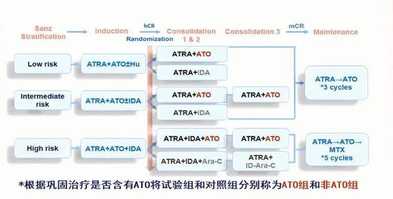 CSH 2020 | 陈竺院士：急性早幼粒细胞白血病发病原理、分型和治疗的最新认识