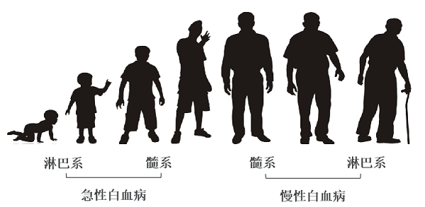 急性淋巴细胞白血病化疗需要多久?预后如何? 急性淋巴细胞白血病化疗需要多久?预后如何?